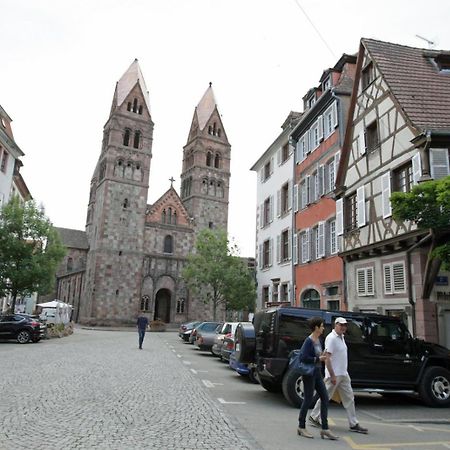 Gite Le Colombier Selestat - 30Min Europapark エクステリア 写真