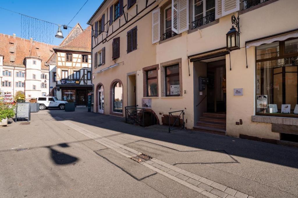 Gite Le Colombier Selestat - 30Min Europapark エクステリア 写真